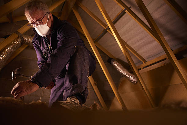 Best Specialized Insulation Services in Norris, TN